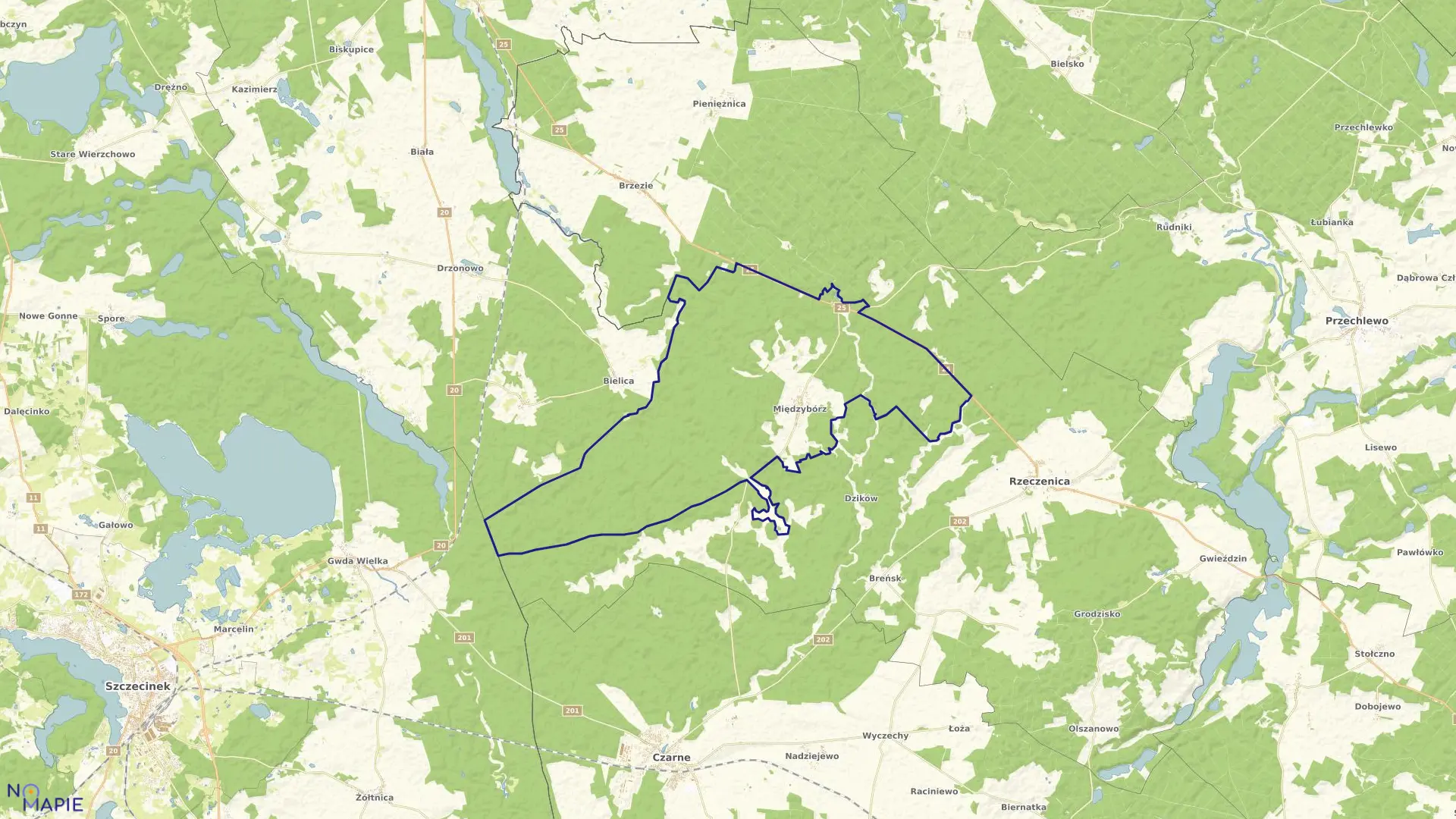 Mapa obrębu MIĘDZYBÓRZ w gminie Rzeczenica